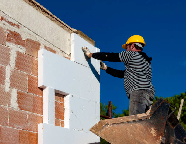 Best Insulation Maintenance and Repair in St Joseph, MN