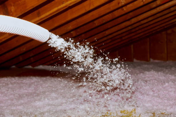 Best Commercial Insulation in St Joseph, MN