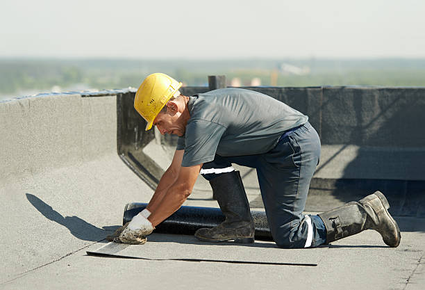 Best Residential Insulation in St Joseph, MN