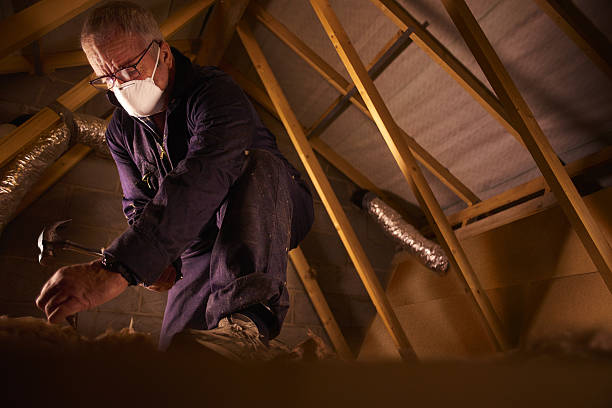  St Joseph, MN Insulation Contractor Pros